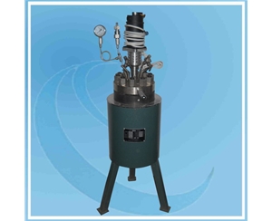 浙江Stainless Steel Reactor