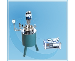 浙江Stainless Steel Reactor