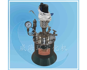浙江Magnetic Reactor